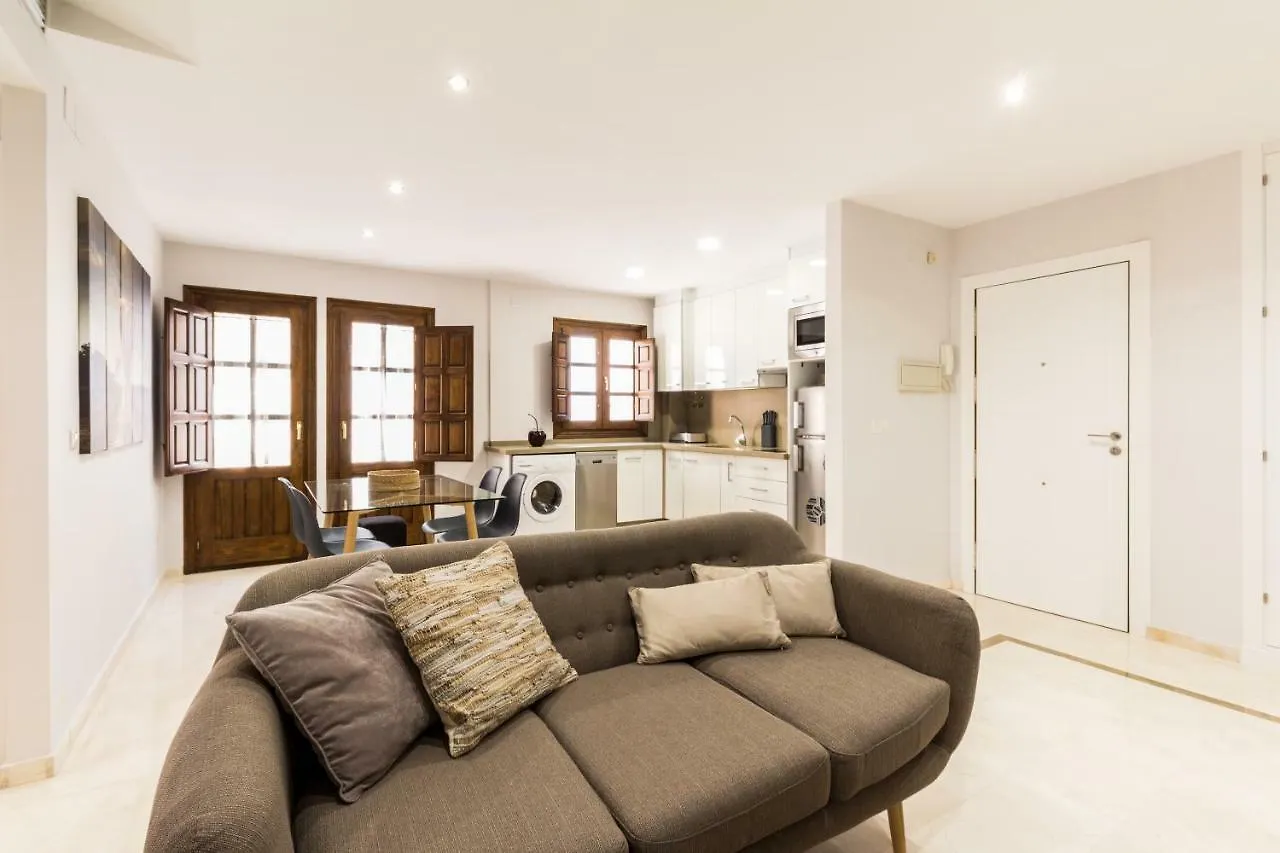 Fabuloso Apartamento En Centro Historico Apartment Granada