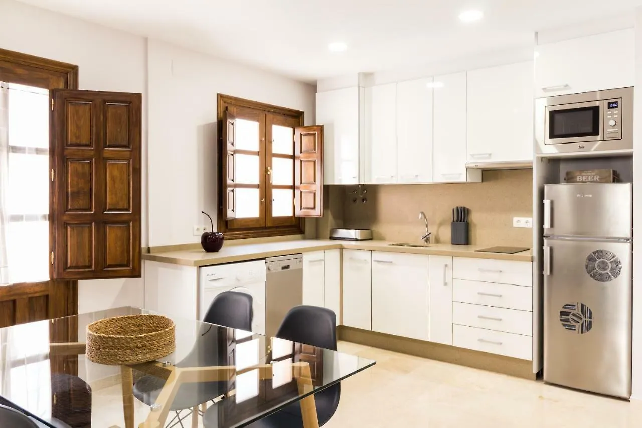 Fabuloso apartamento en centro histórico Apartamento Granada